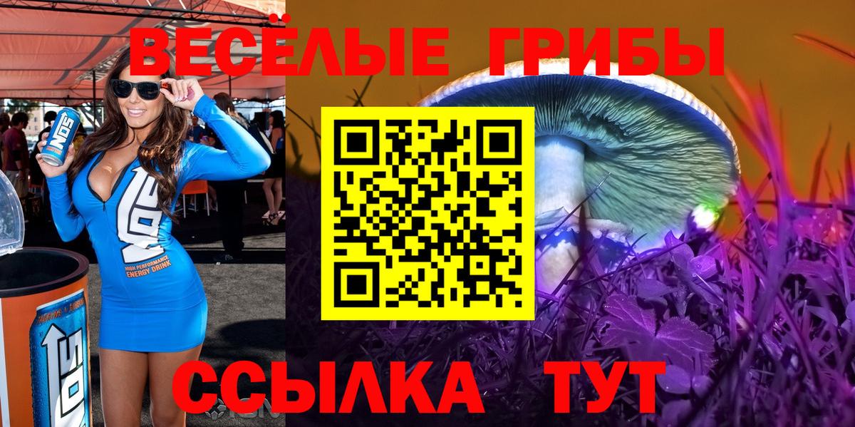 Псилоцибиновые грибы Cubensis Иваново